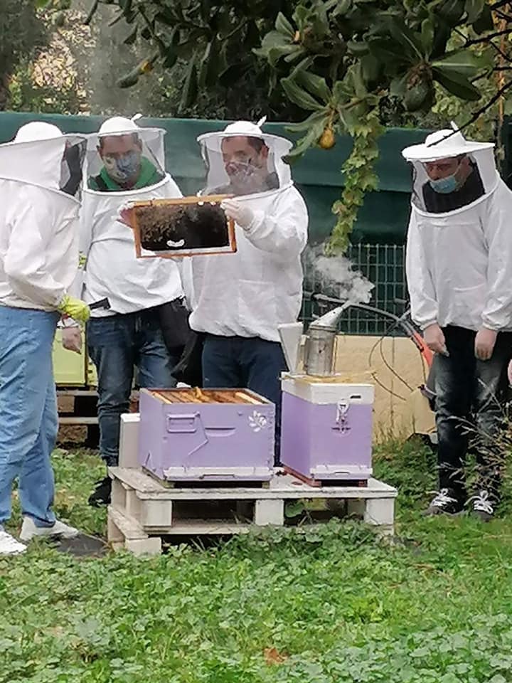 Γνωρίζοντας τις μέλισσες..